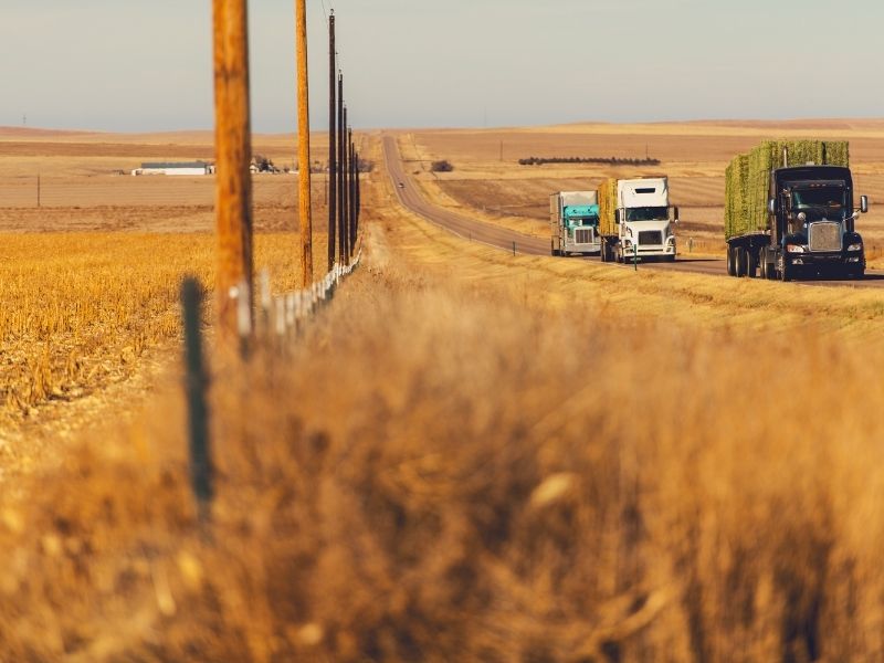 Quick Fix or Full Replacement Expert Advice on Truck Alternators and Starters